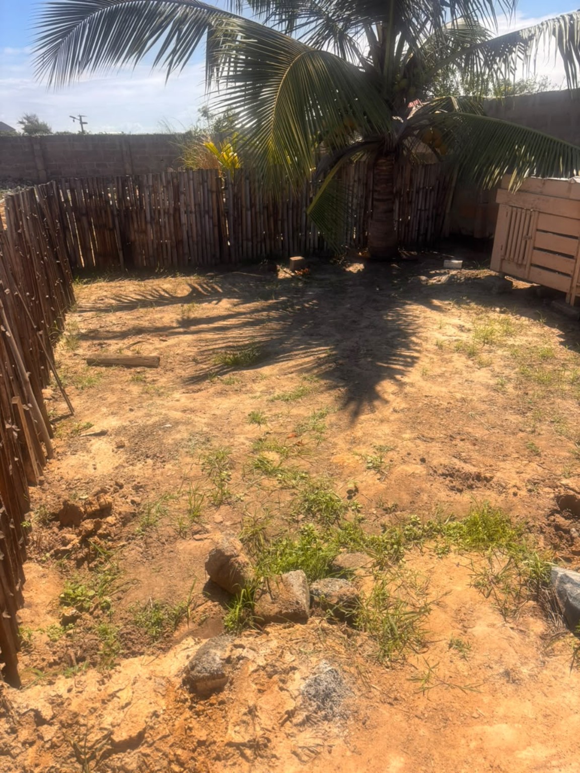The planned sea-turtle hatchery site behind the Nourish Afreeka kiosk